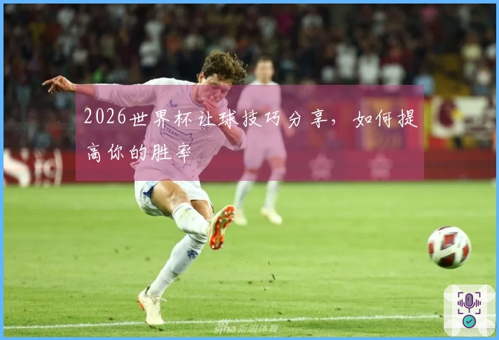 2026世界杯让球技巧分享，如何提高你的胜率