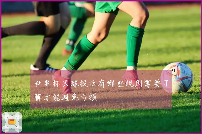 世界杯买球投注有哪些规则需要了解才能避免亏损