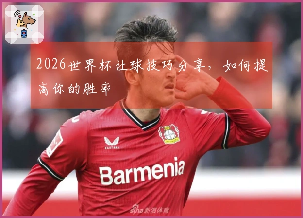 2026世界杯让球技巧分享，如何提高你的胜率