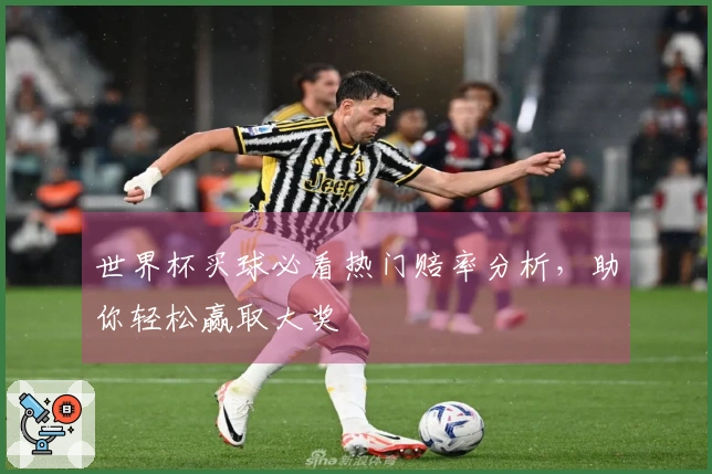 世界杯买球必看热门赔率分析，助你轻松赢取大奖