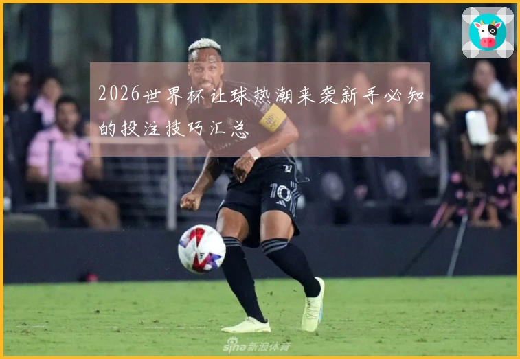 2026世界杯让球热潮来袭新手必知的投注技巧汇总