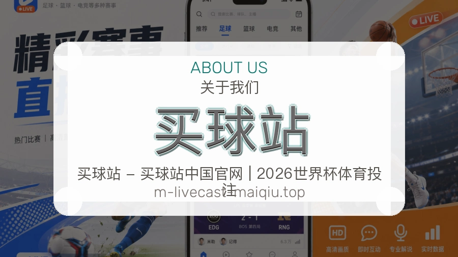 关于 买球站 团队与服务